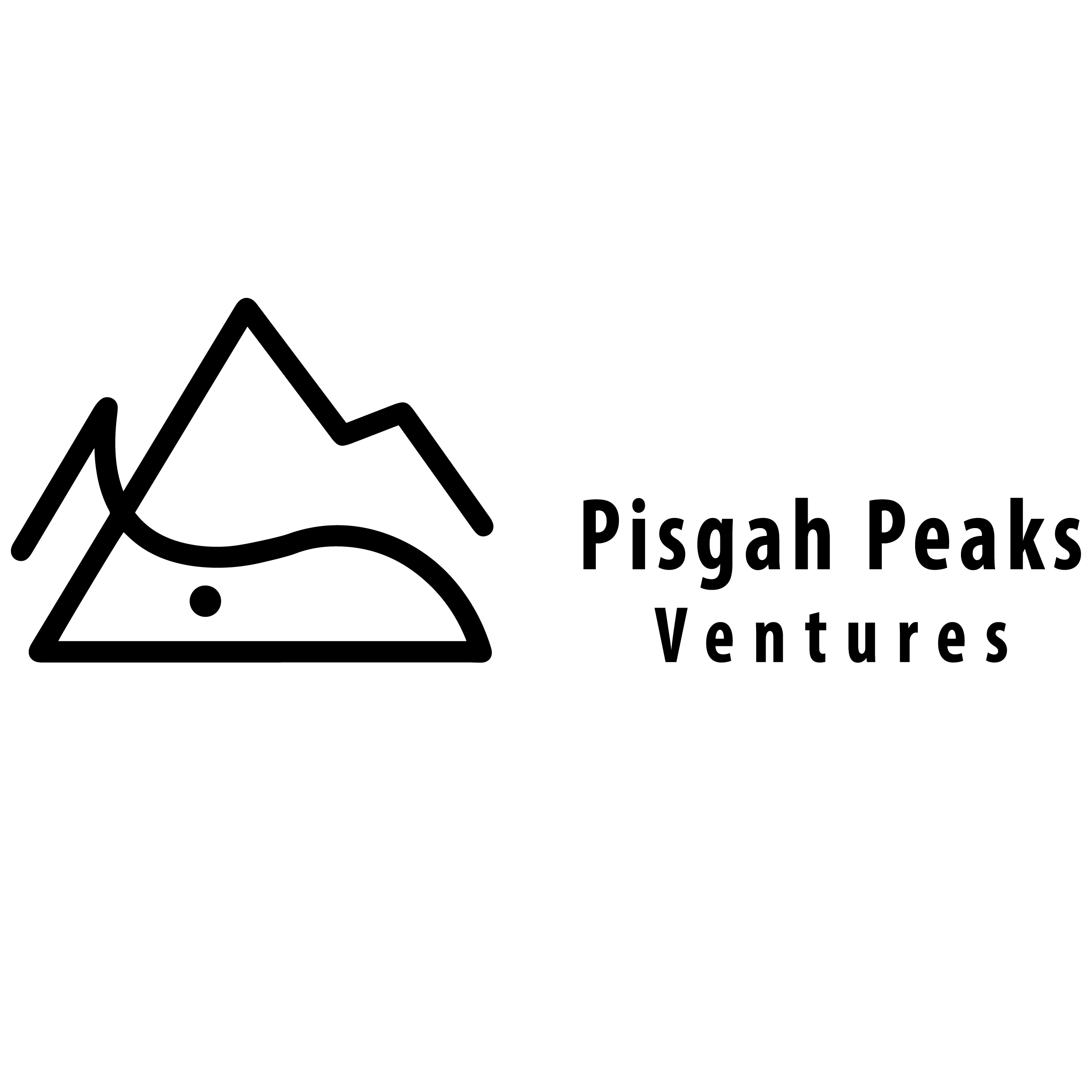 PPV-Logo-HorizStack-Lockup_white